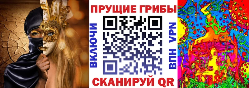 Купить Сосновоборск Псилоцибиновые грибы мицелий